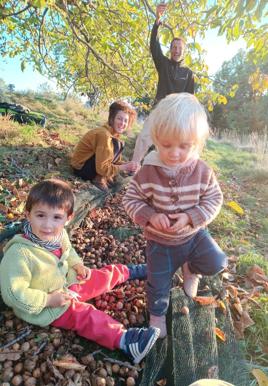 Septembre 2025 — Récoltes de fruits d’automne